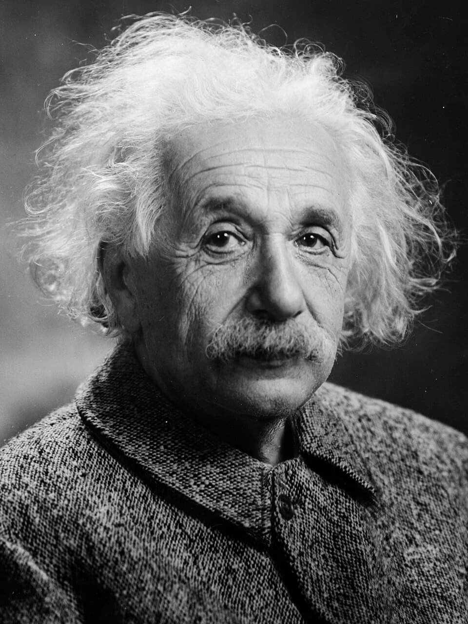 Portrait of Albert Einstein