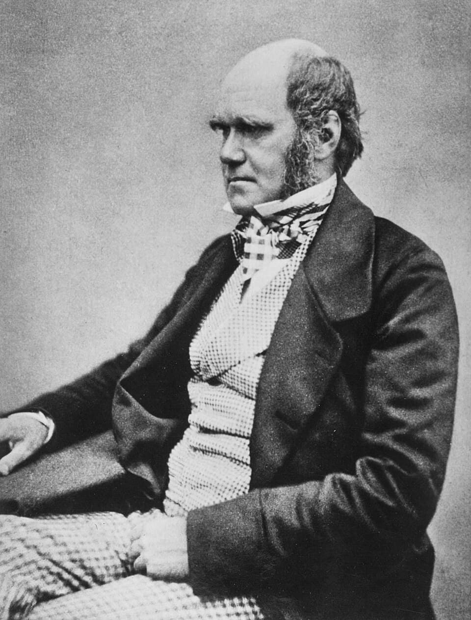 Portrait of Charles Darwin, seated